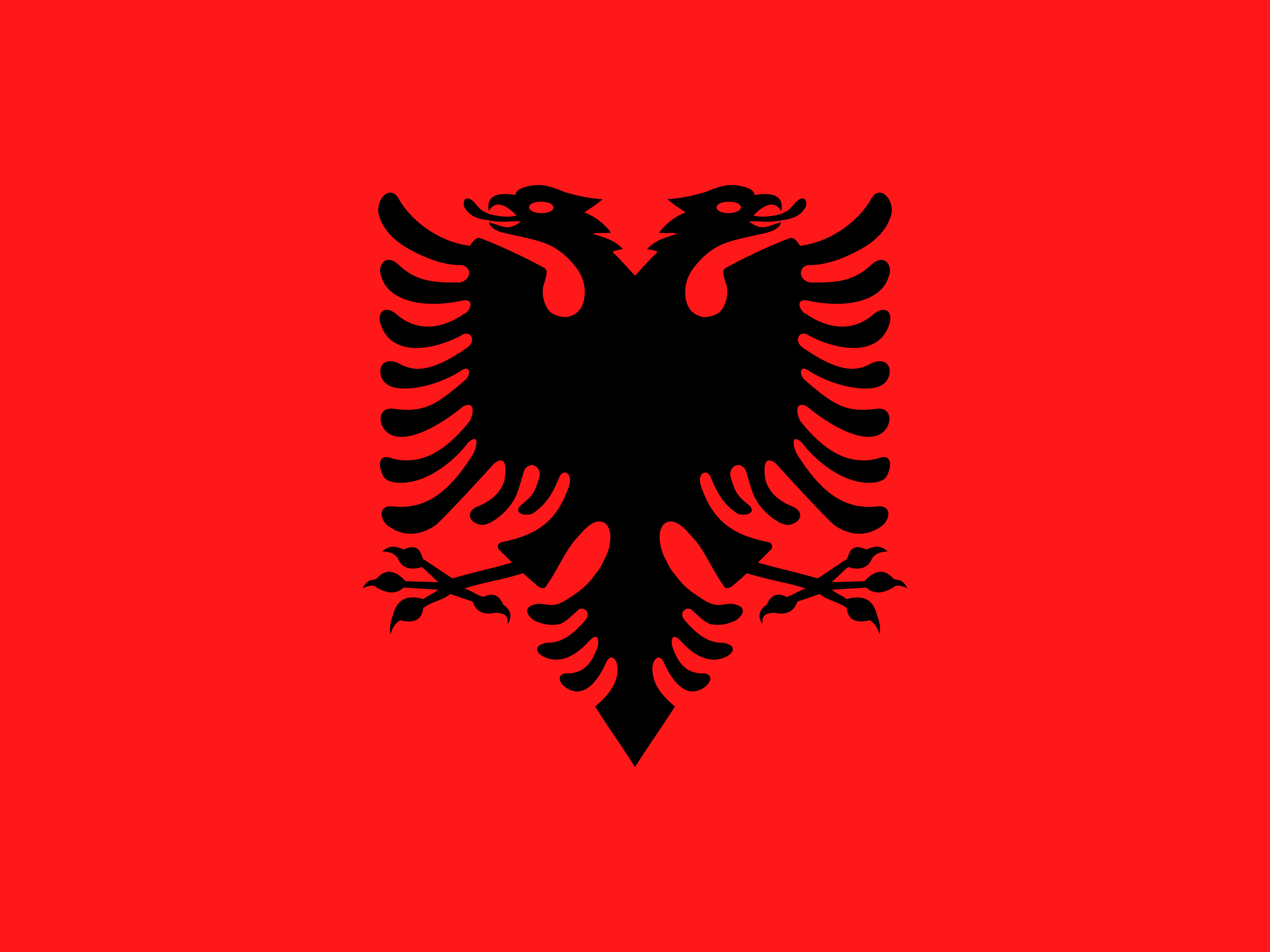 Arnavutluk bayrağı