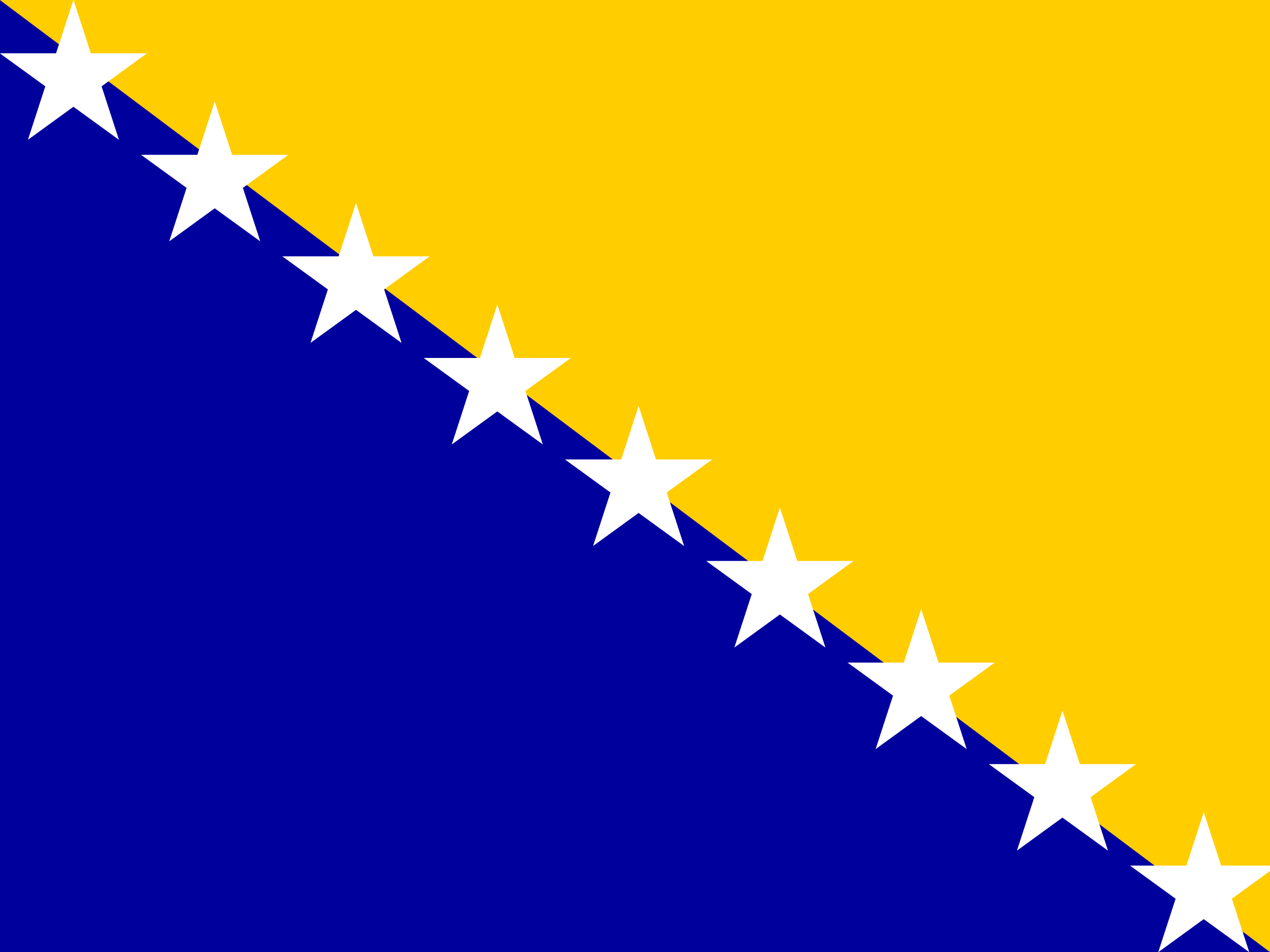 Bosna-Hersek bayrağı