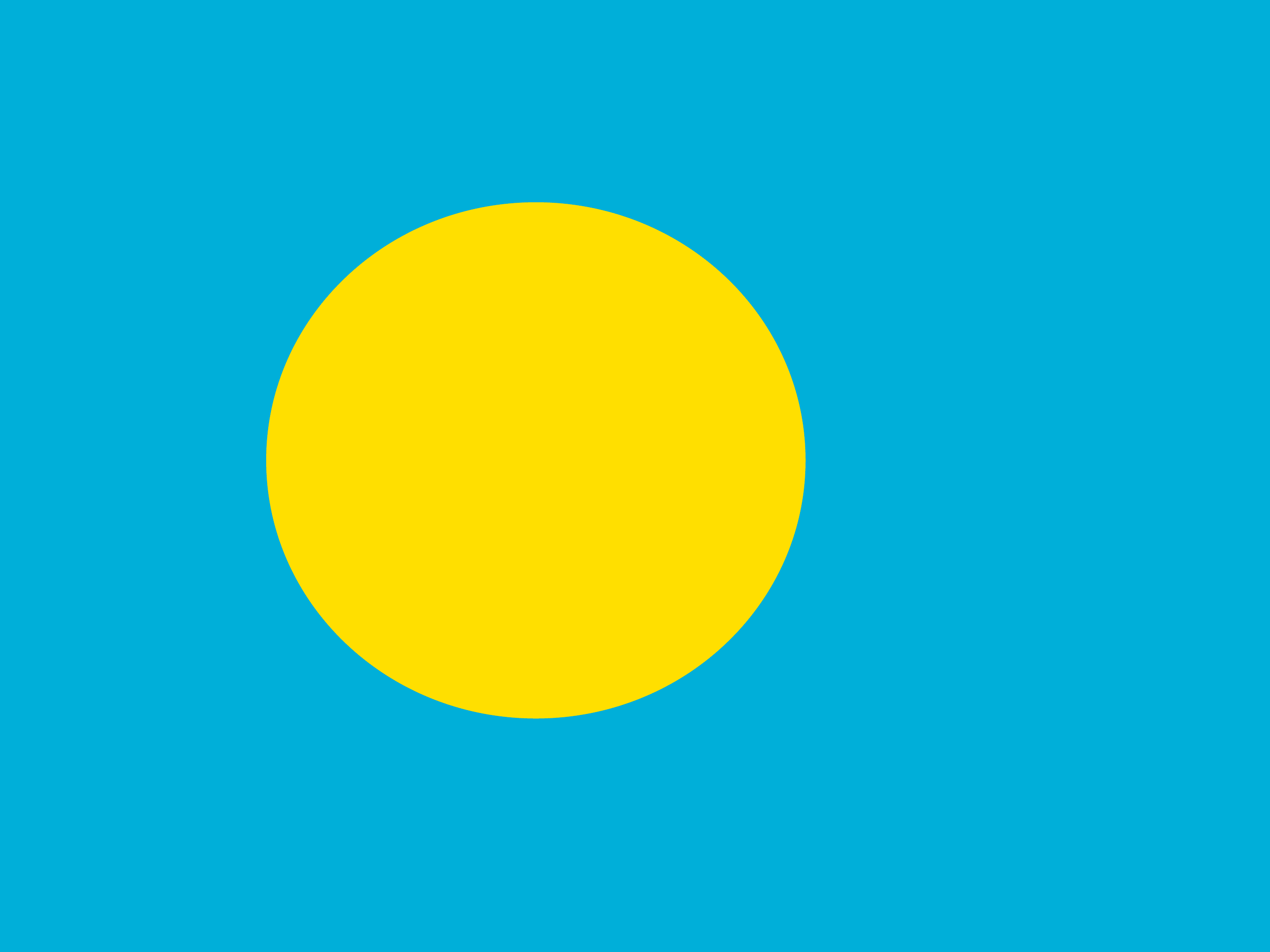 Palau bayrağı