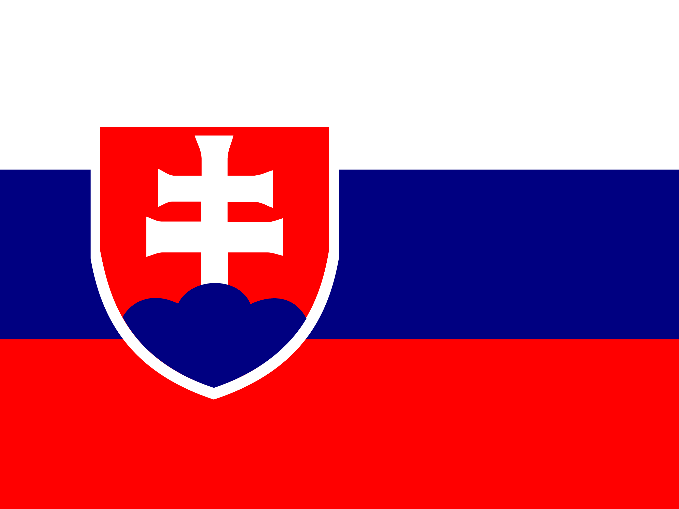 Slovakya bayrağı