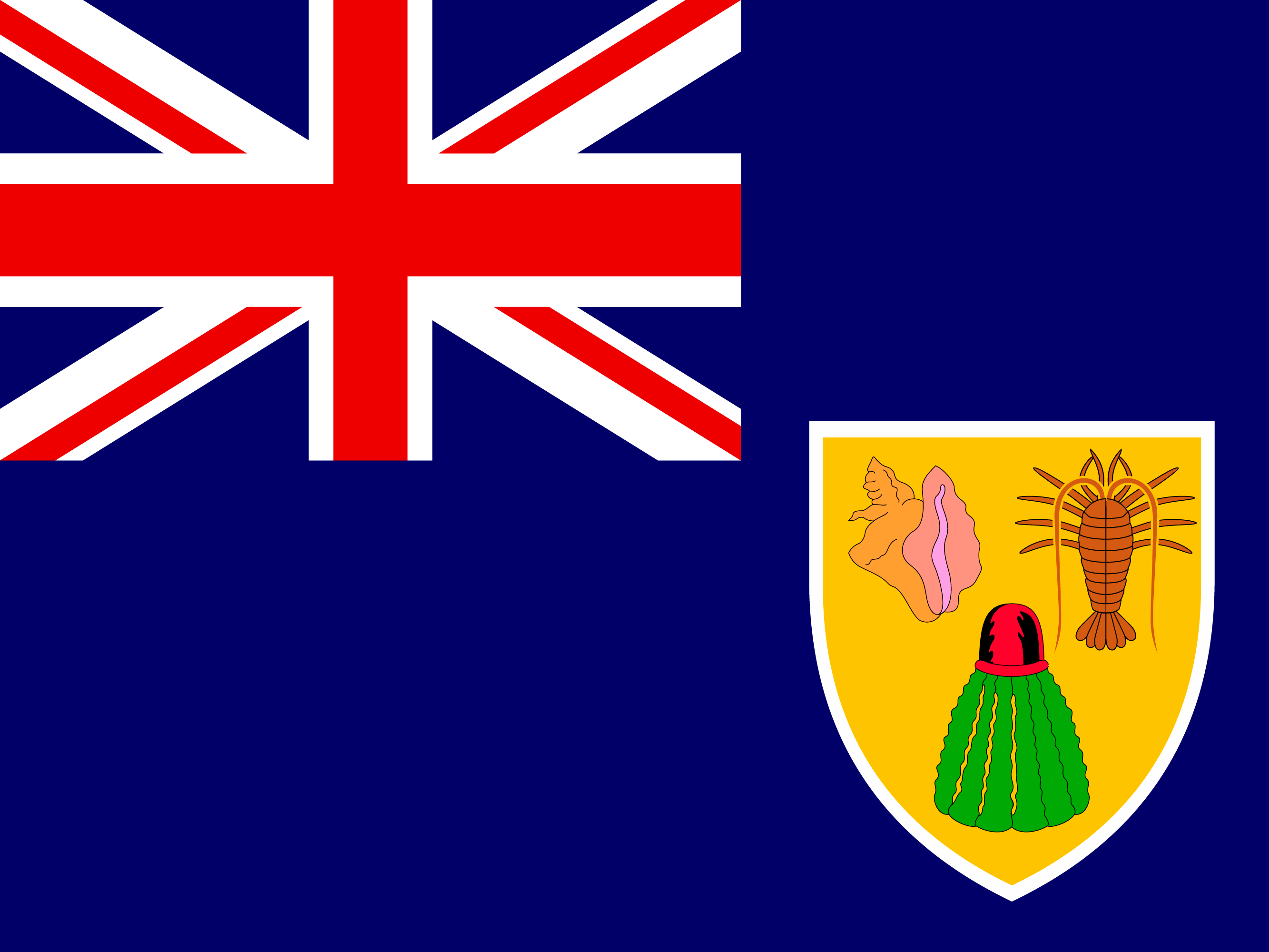 Turks ve Caicos Adaları bayrağı