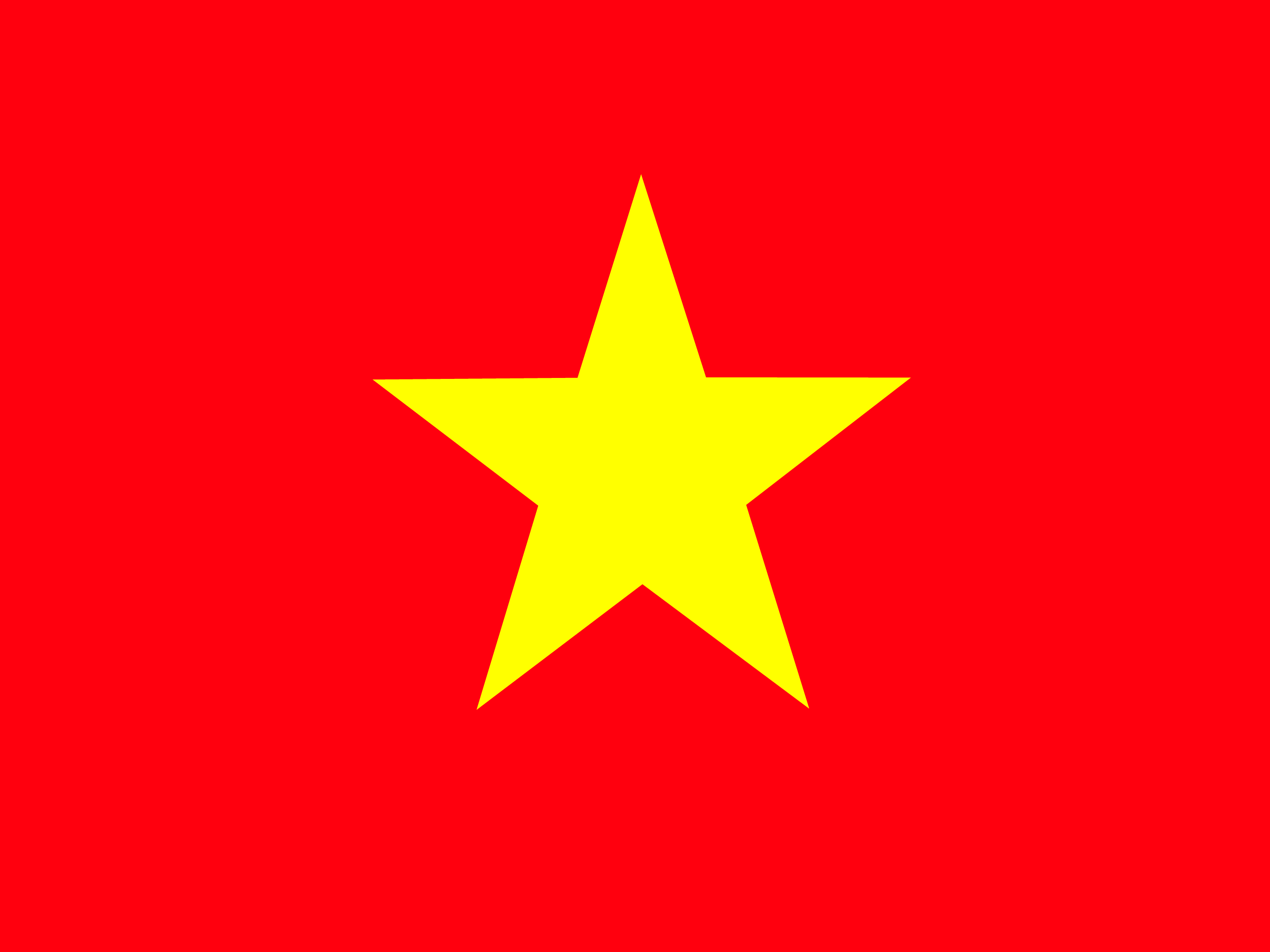 Vietnam bayrağı