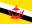 Brunei bayrağı
